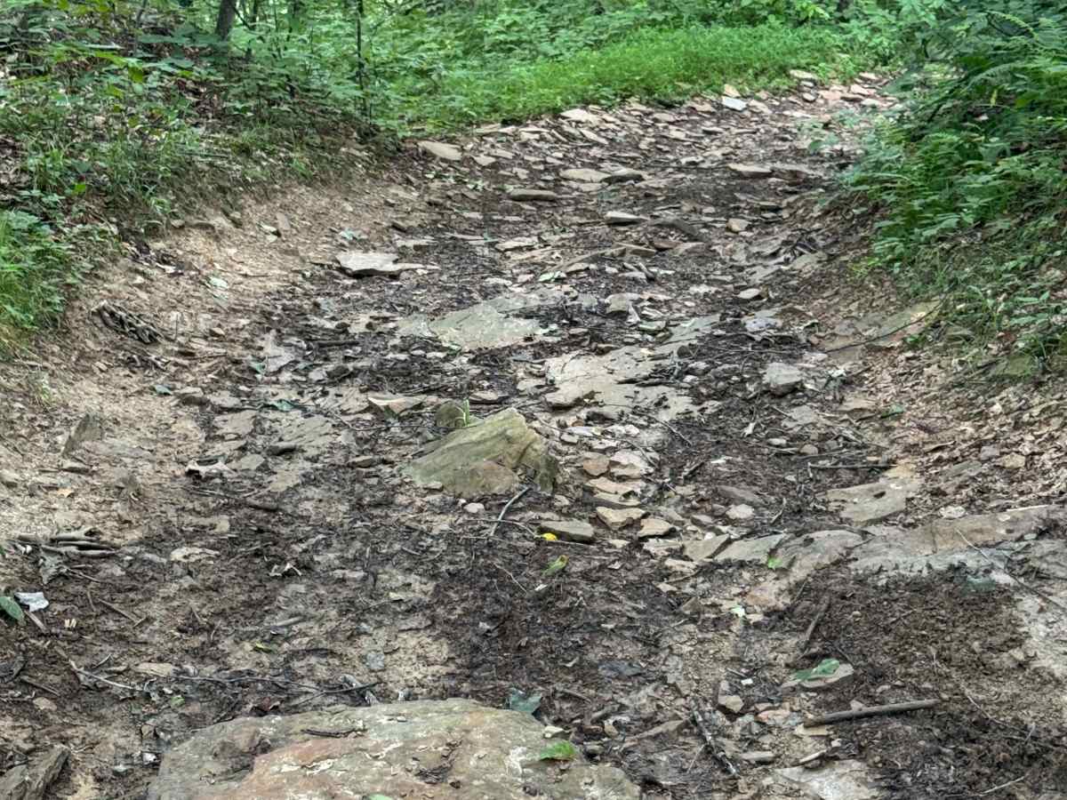 Trail 79 photo 3