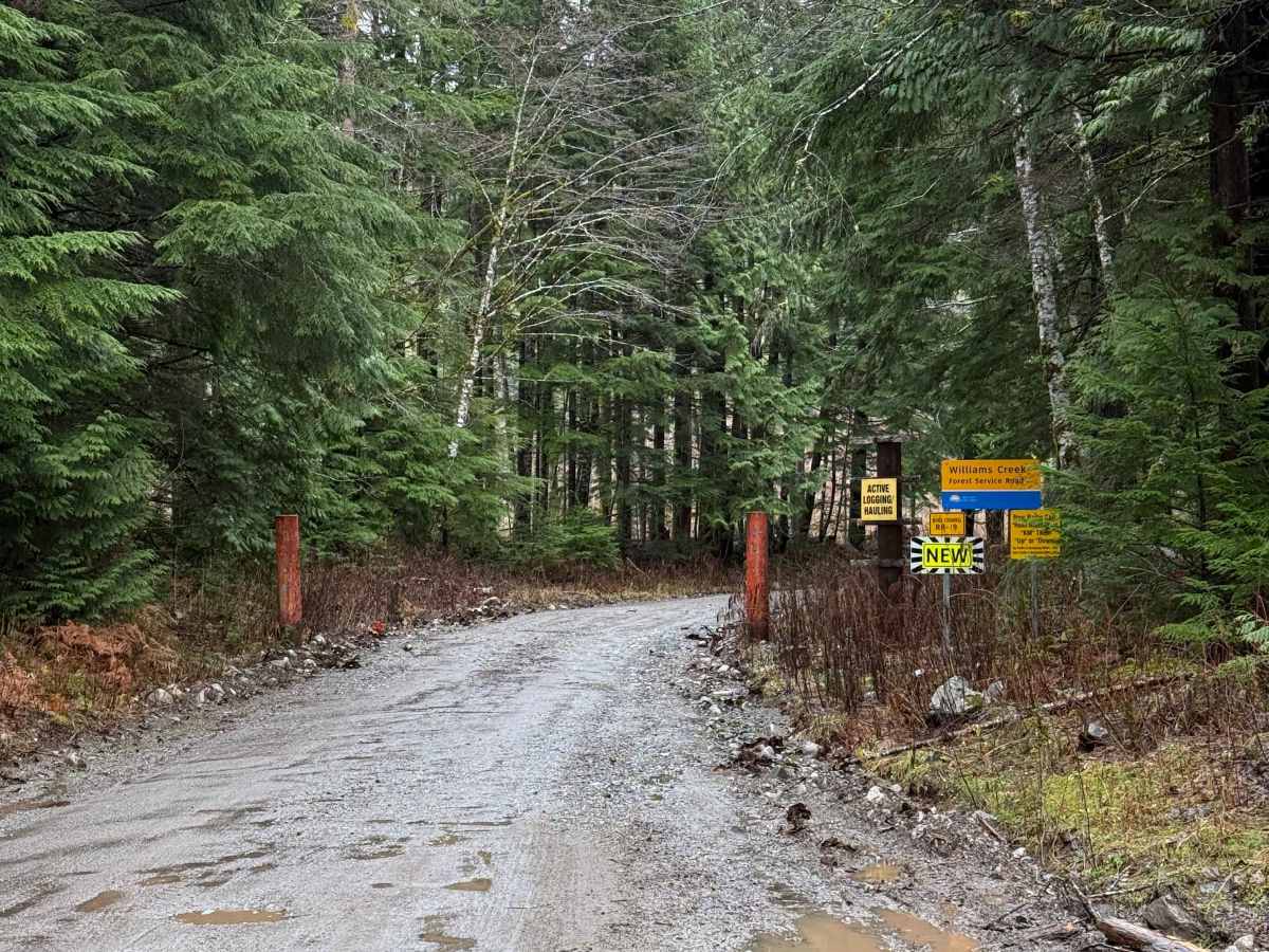 Williams Creek Trail trail photo