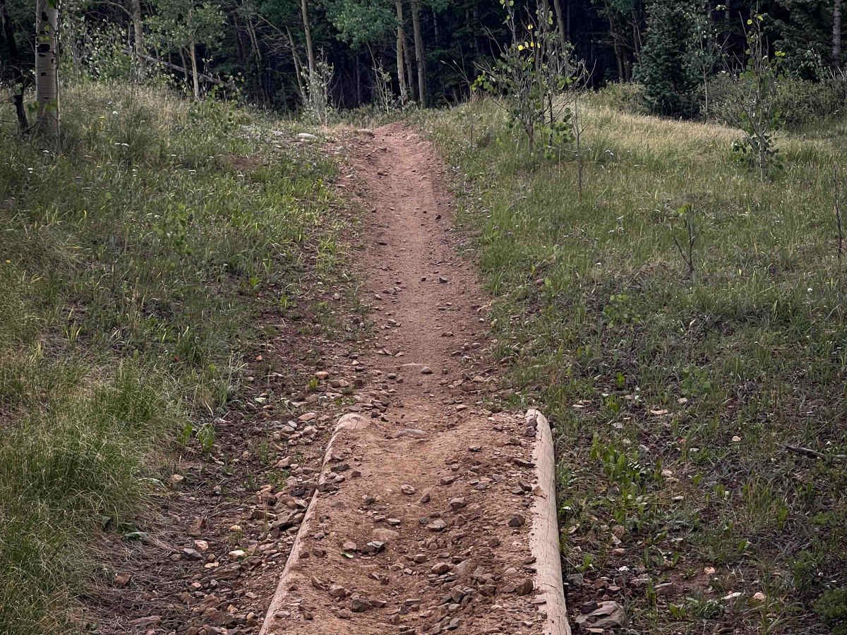 Almgren Trail #689 photo 2