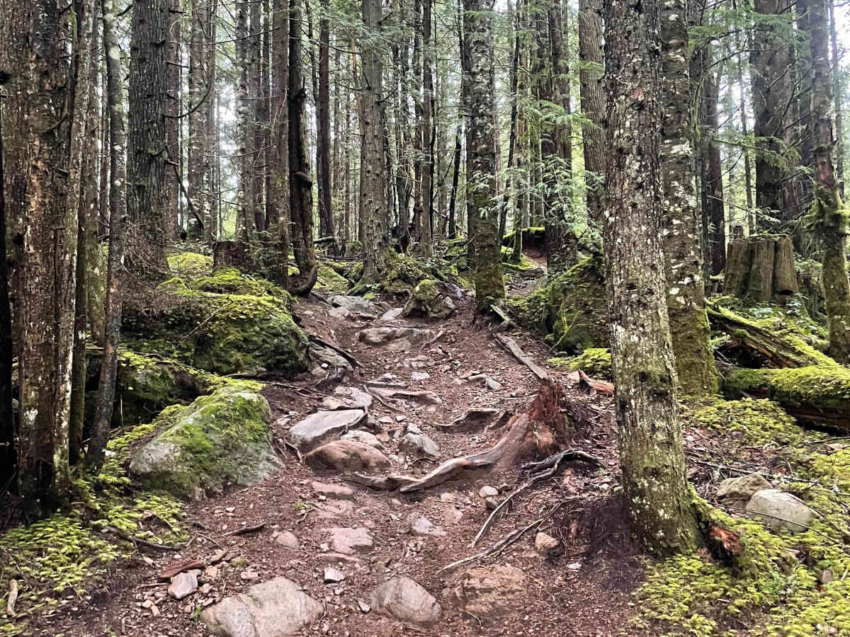 Sleepy Hallow trail photo