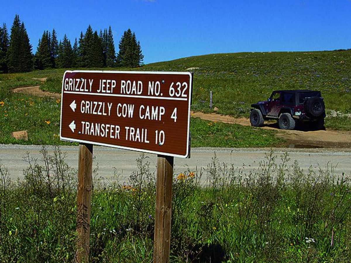 Grizzly Jeep Trail photo 3