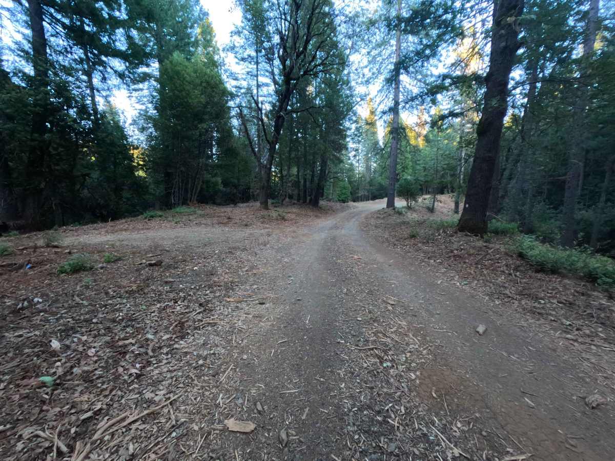 Cyprus - FS 20N81 trail photo