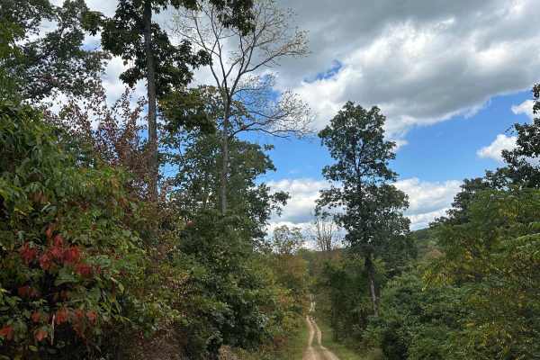 Big Mountain Trail