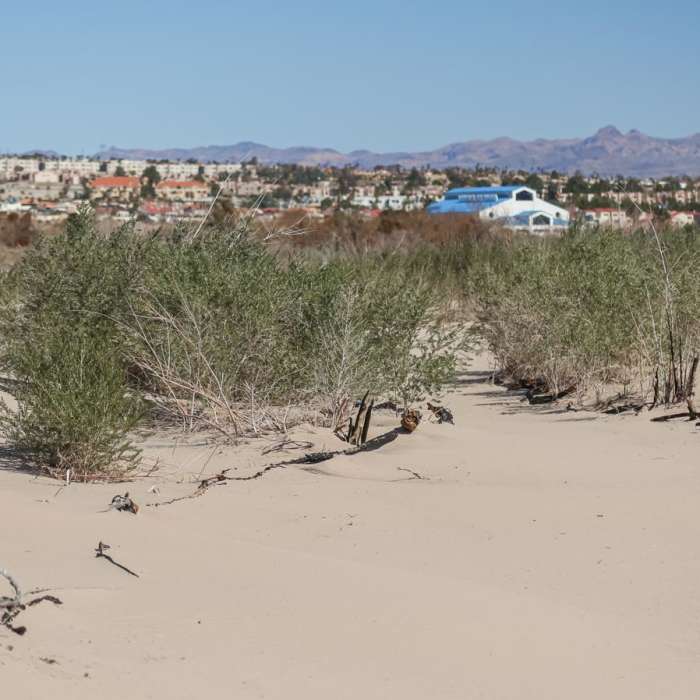 Near Big Sandy Trail