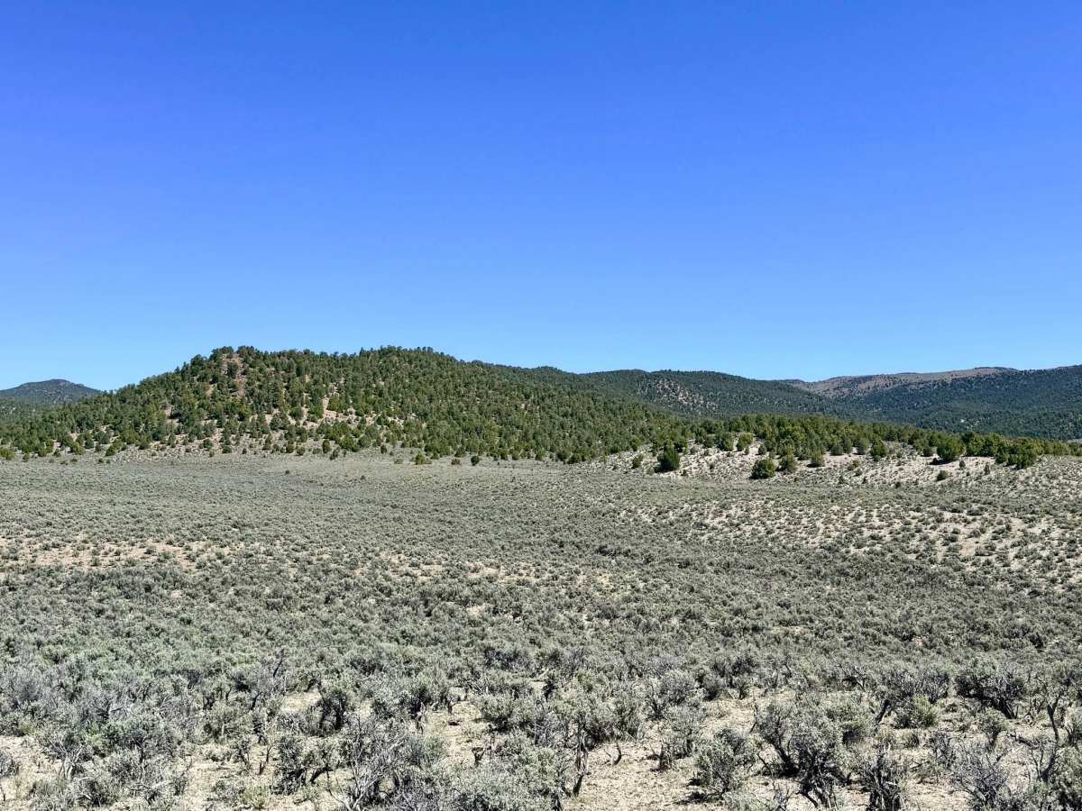 South Brock Canyon - FS 43513 photo 6