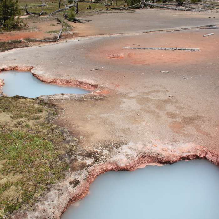 Near Artist's Paintpots Trail