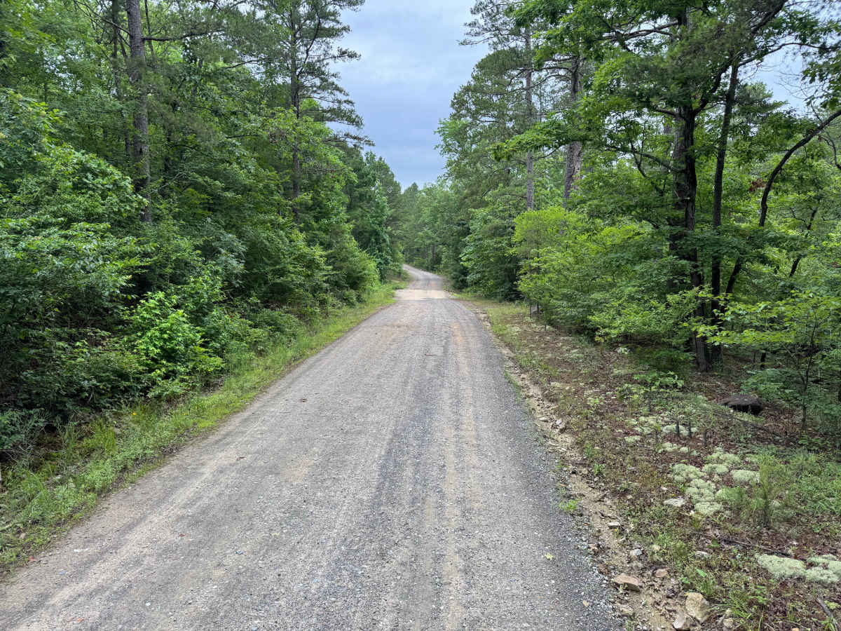 Muddy Creek photo 2