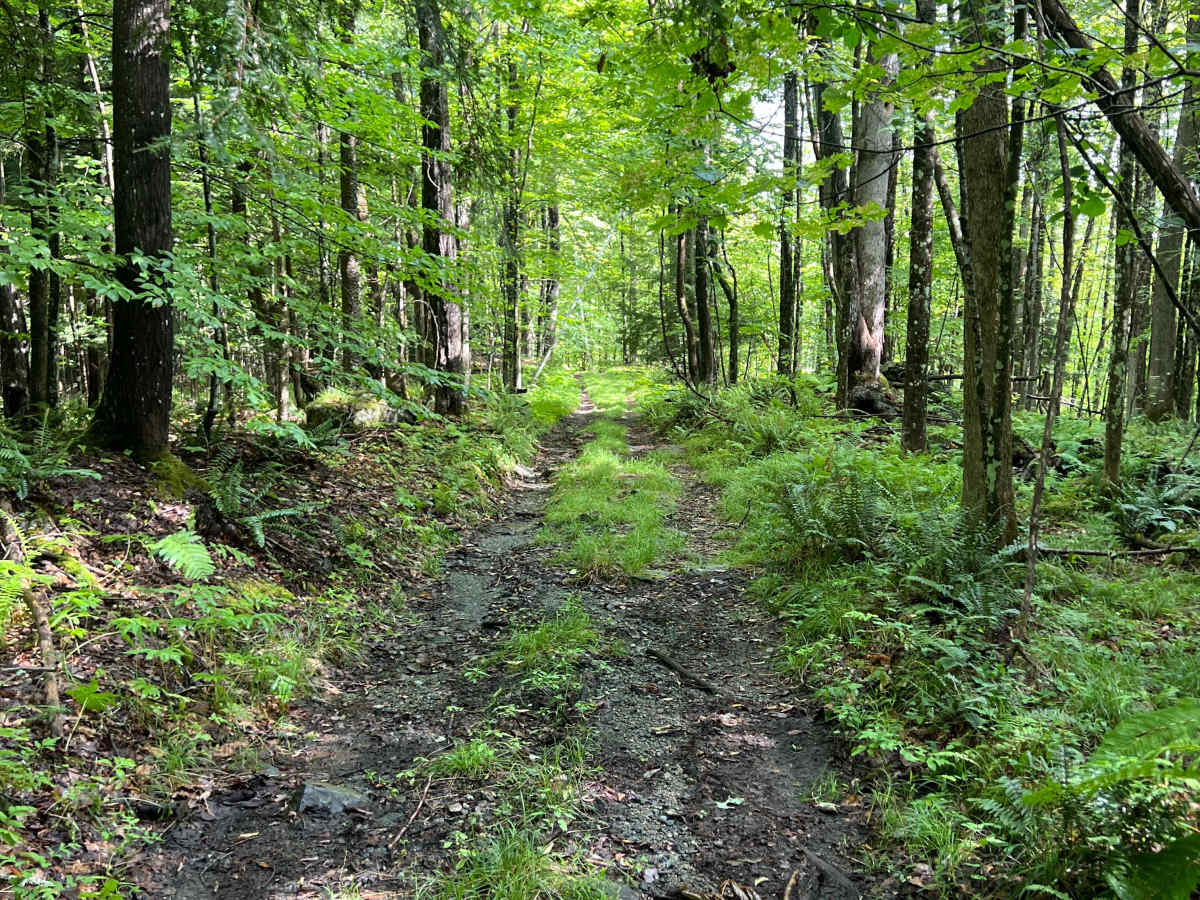 Porter Road photo 4