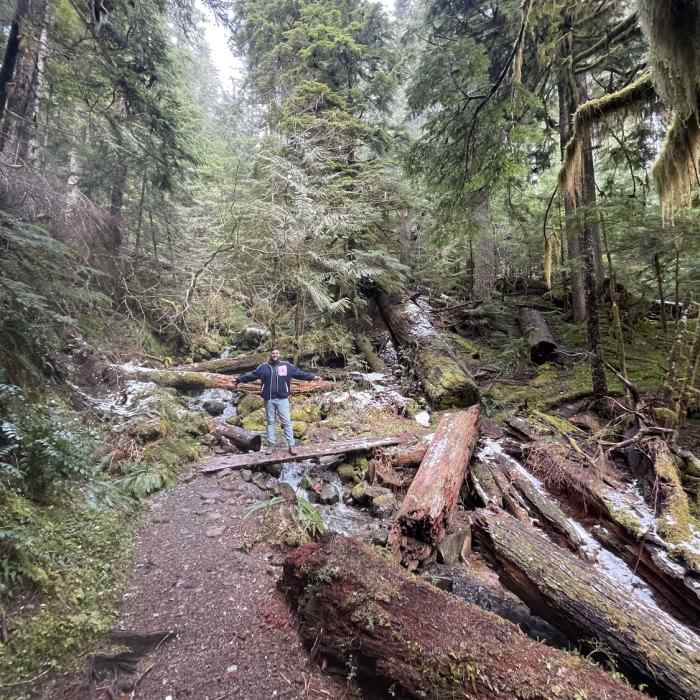 Near Twin Firs Loop Trail