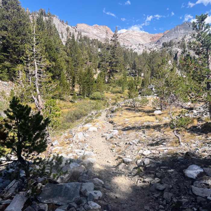 Near McGee Pass Trail