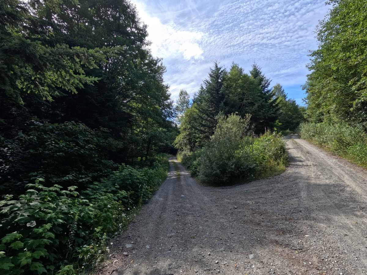Van Zandt - 41 trail photo