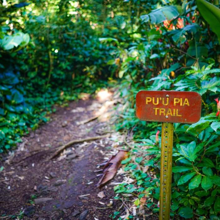 Near Pu'u Pia Near Pu'u Pia