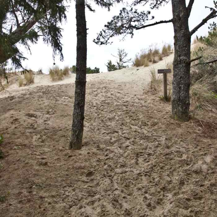 Near Sutton Campground Loop