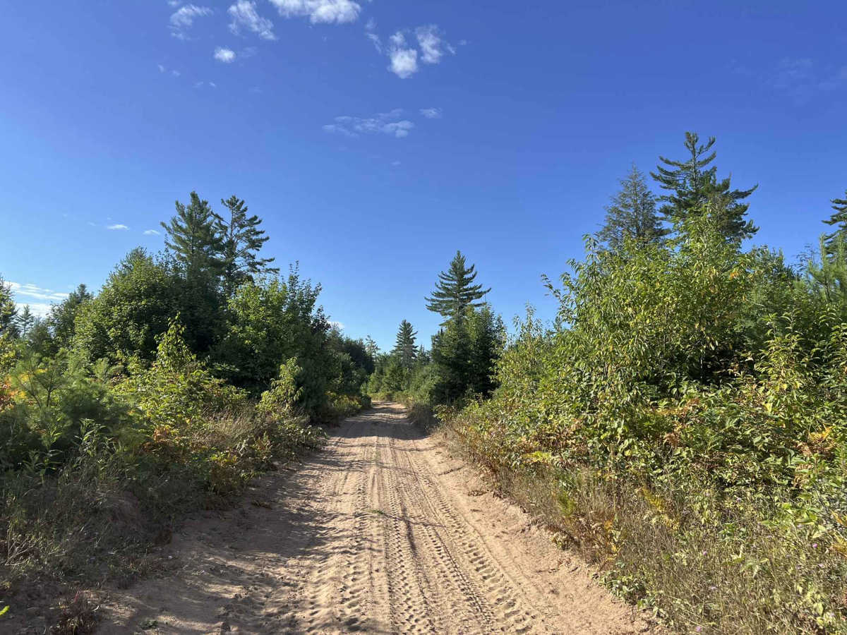 Route FIR - Forest Road 13042 photo 2