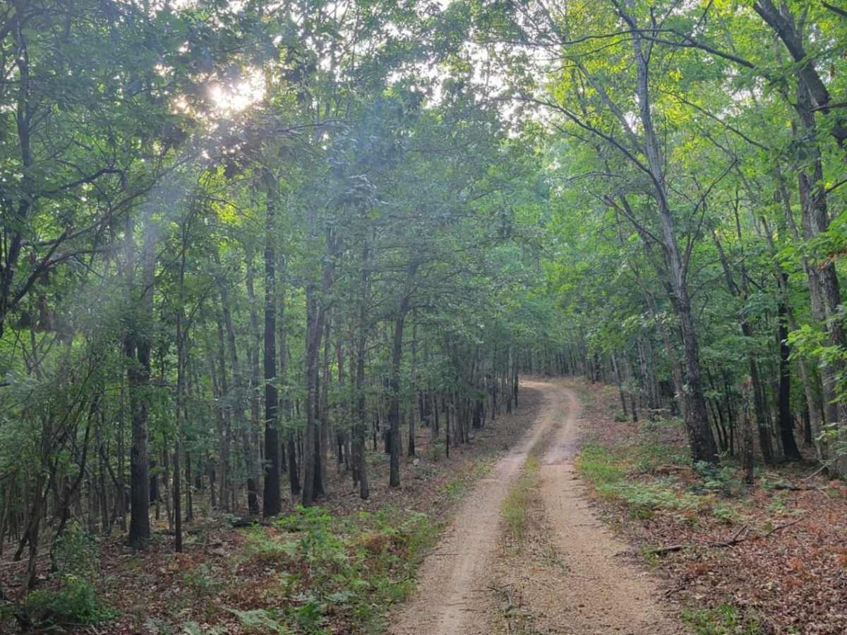 Gooseneck Trail trail photo