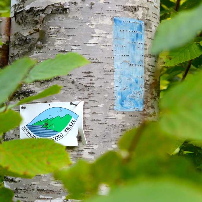 Near Bean Lake + Bear Lake via the Superior Hiking Trail