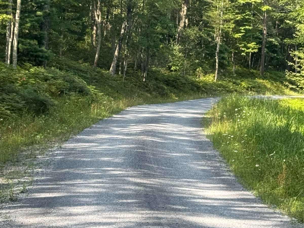 Barrons Road photo 5