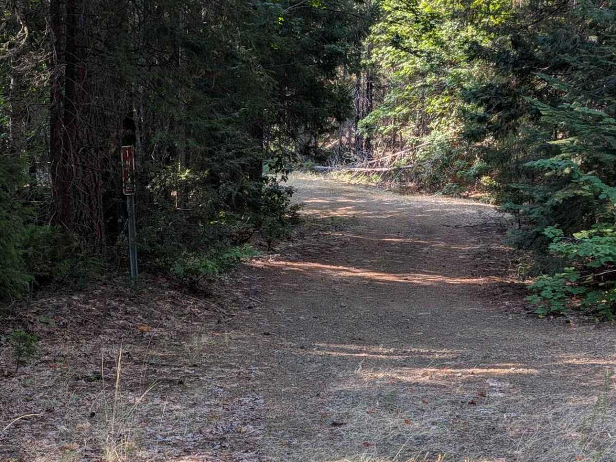 V-Springs Road - FS 1N14 photo 3