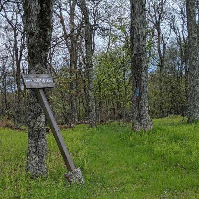 Near Middle Jungle Trail