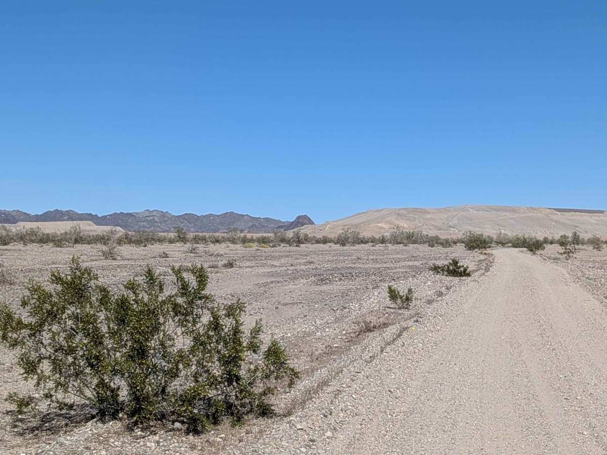 BLM 617 photo 5