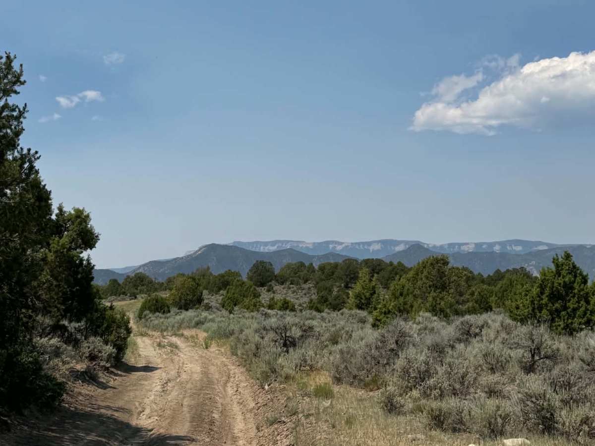 Rifle East trail photo