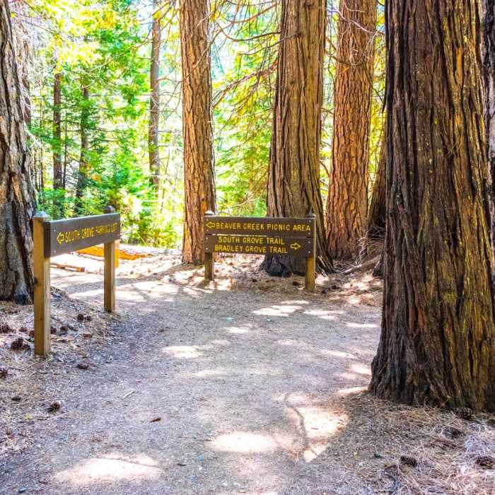 Near South Grove Trail