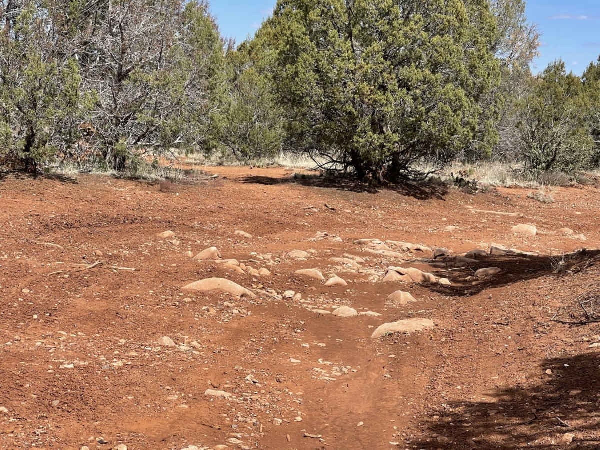 Red Hat Vista Trail photo 3