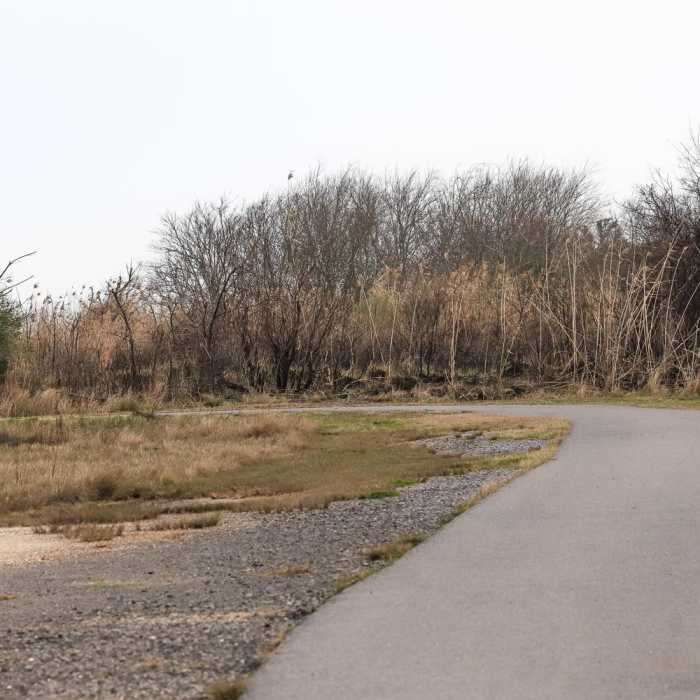 Near Blue Goose Nature Trail Near Blue Goose Nature Trail