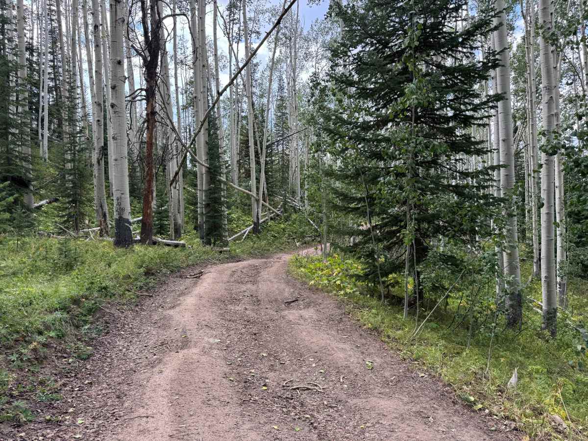Long Draw Road photo 5