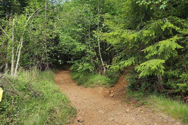 Divide Trail North