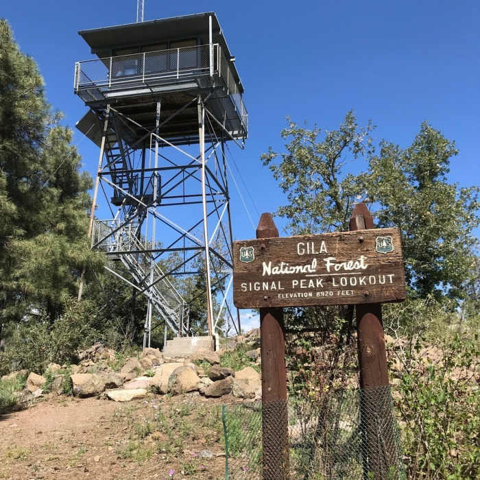 Near Little Cherry Creek to Signal Peak via CDT
