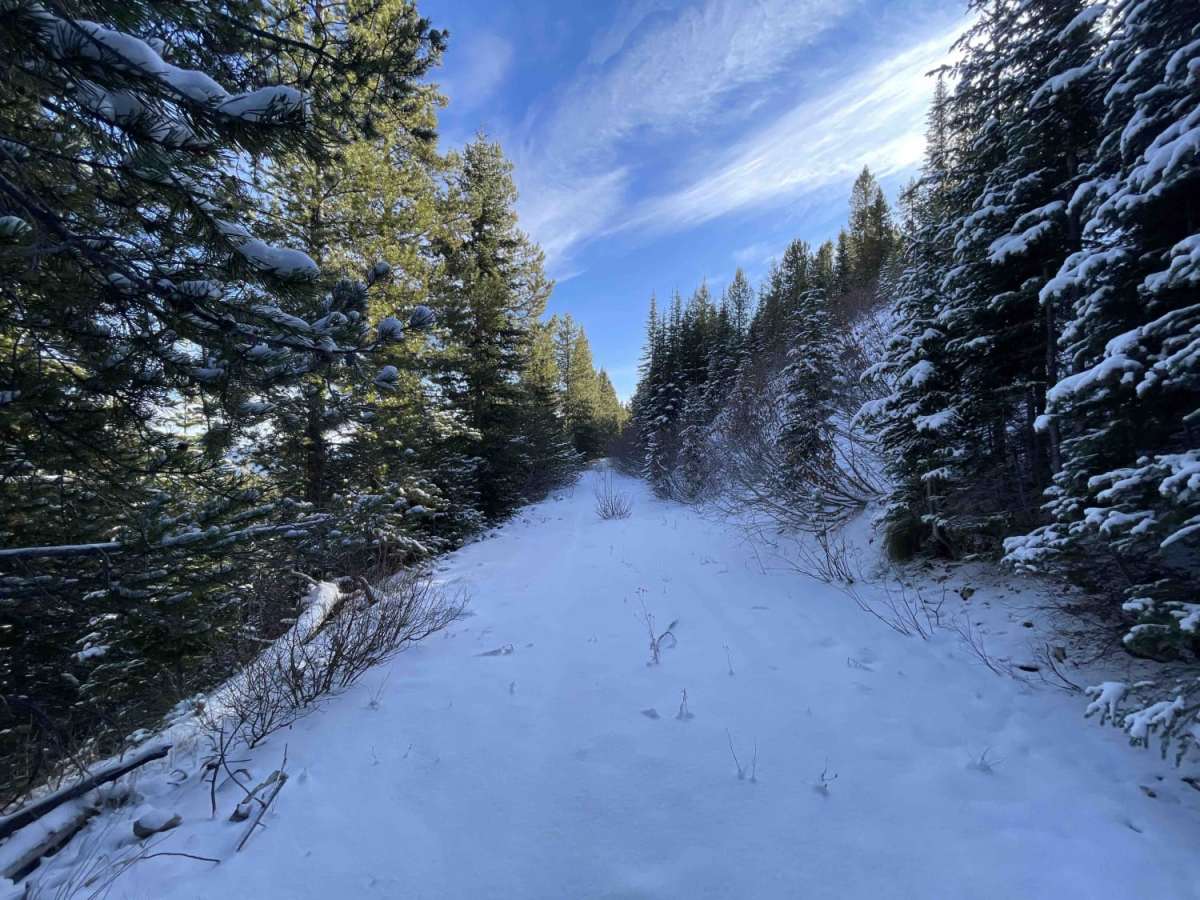 Coal Creek ATV/UTV photo 6