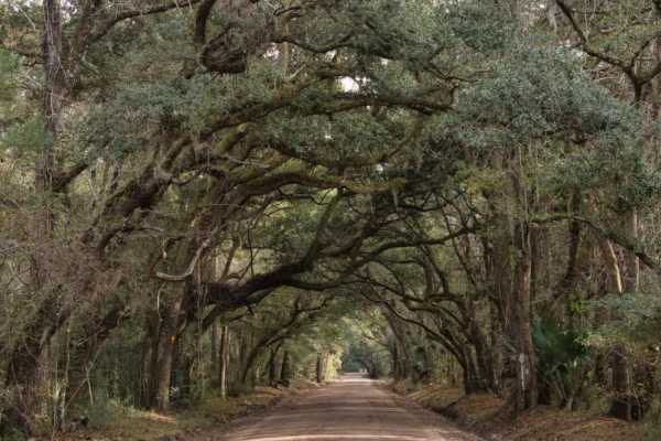 Botany Bay Plantation