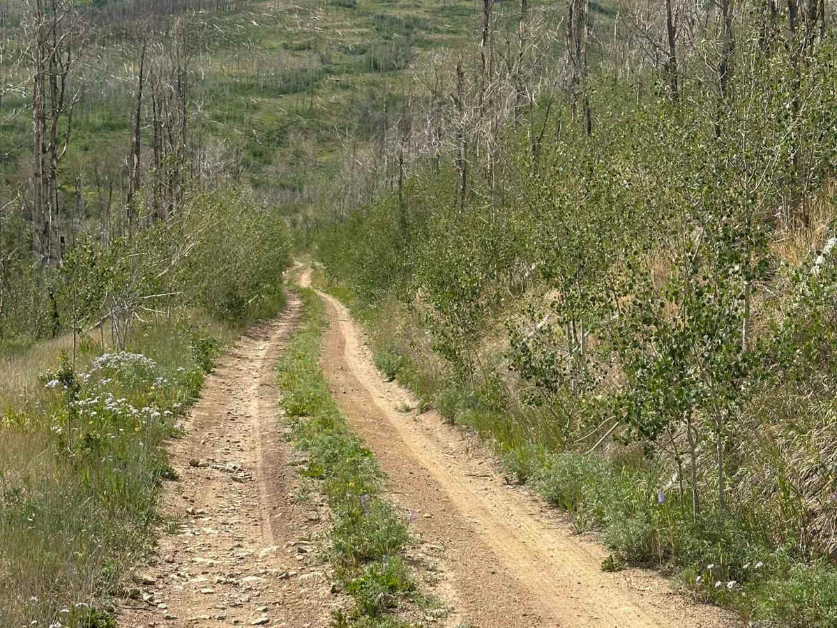 BLM Route 2764 photo 5
