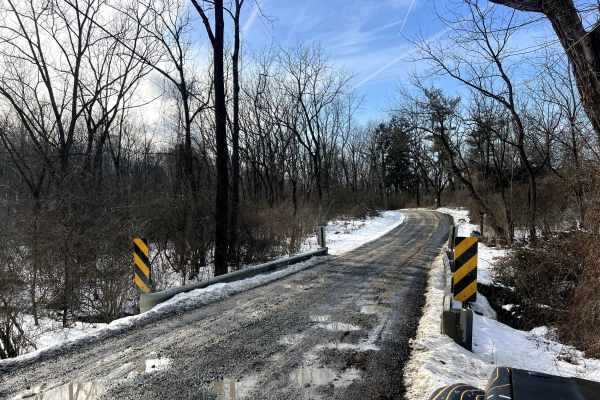 Possum Hollow
