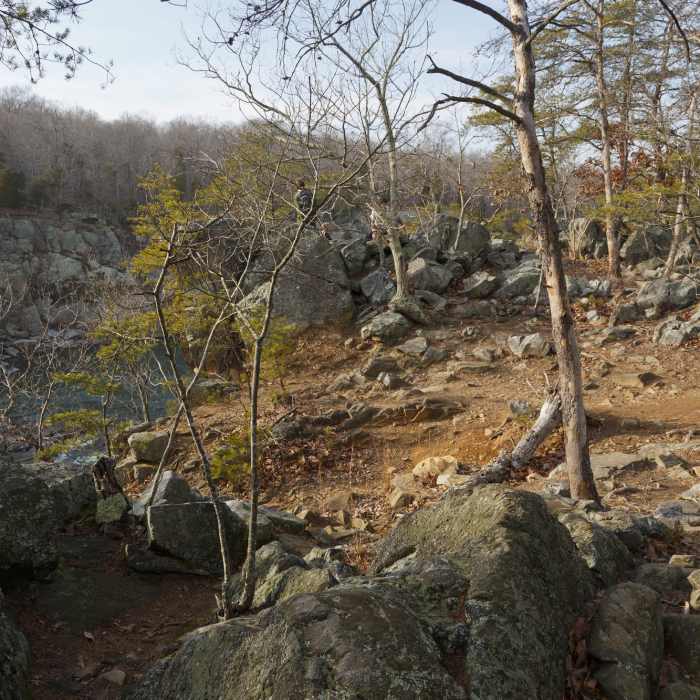 The rocky, cliff-top nature of River Trail. Near Riverbend--Great Falls Loop