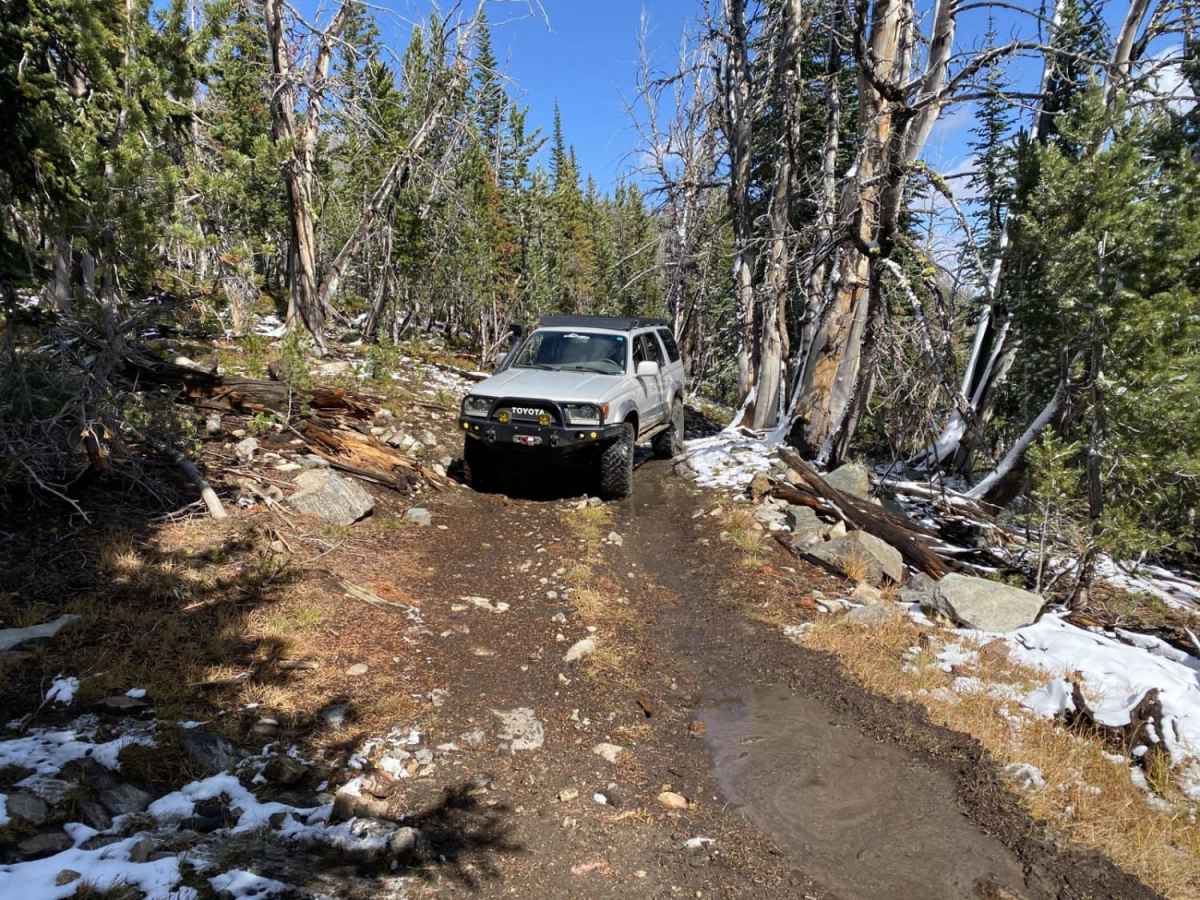 South Baldy Loop photo 3