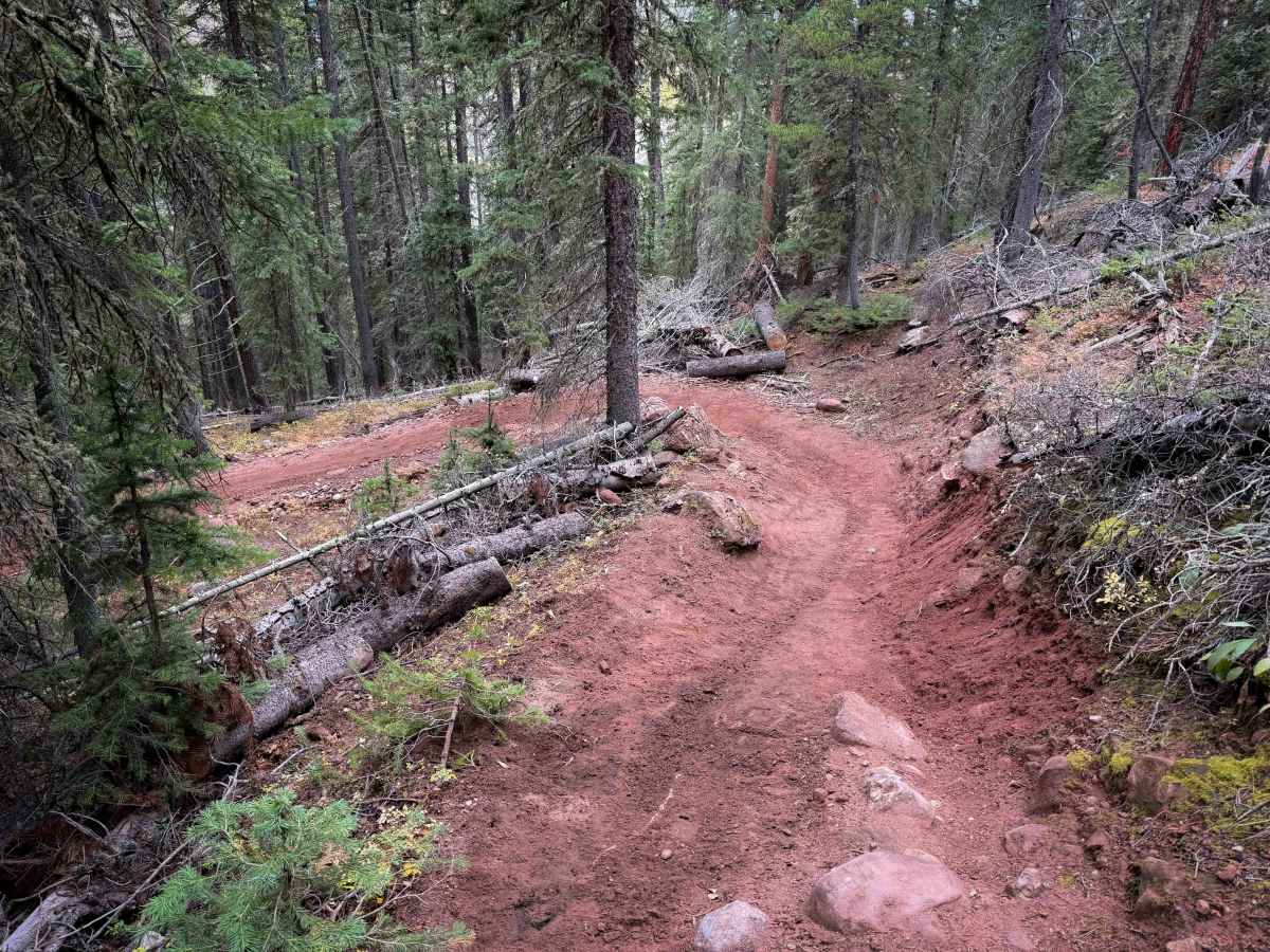 Deadman Gulch Trail - FS 420  photo 6