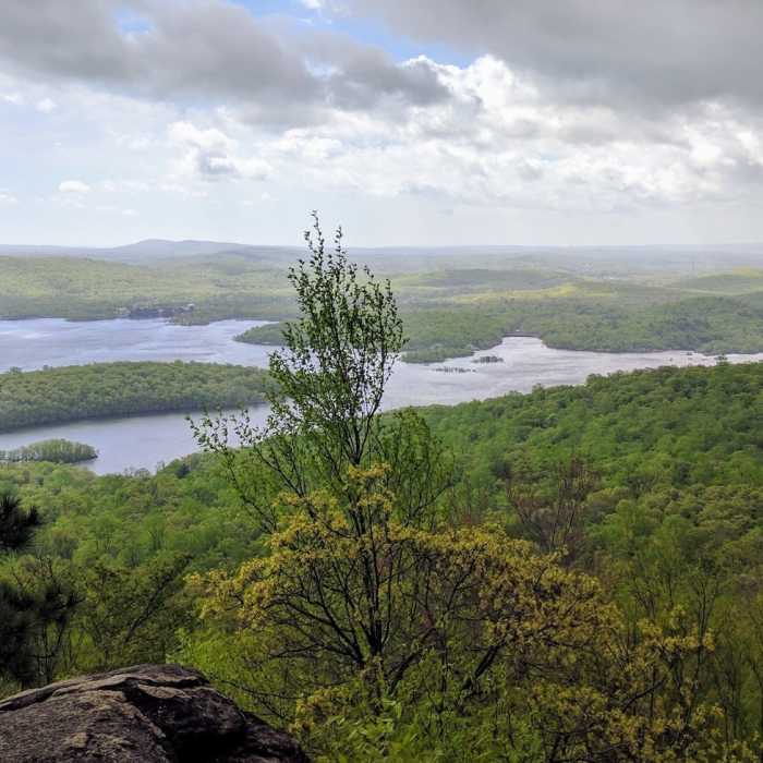 Near Norvin Green Highlights