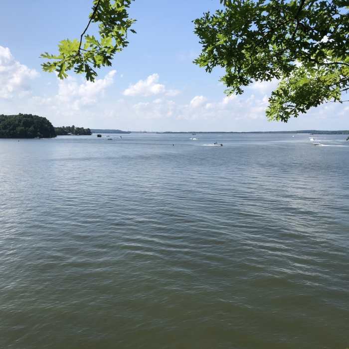 Near Land Between the Lakes Canal Loop