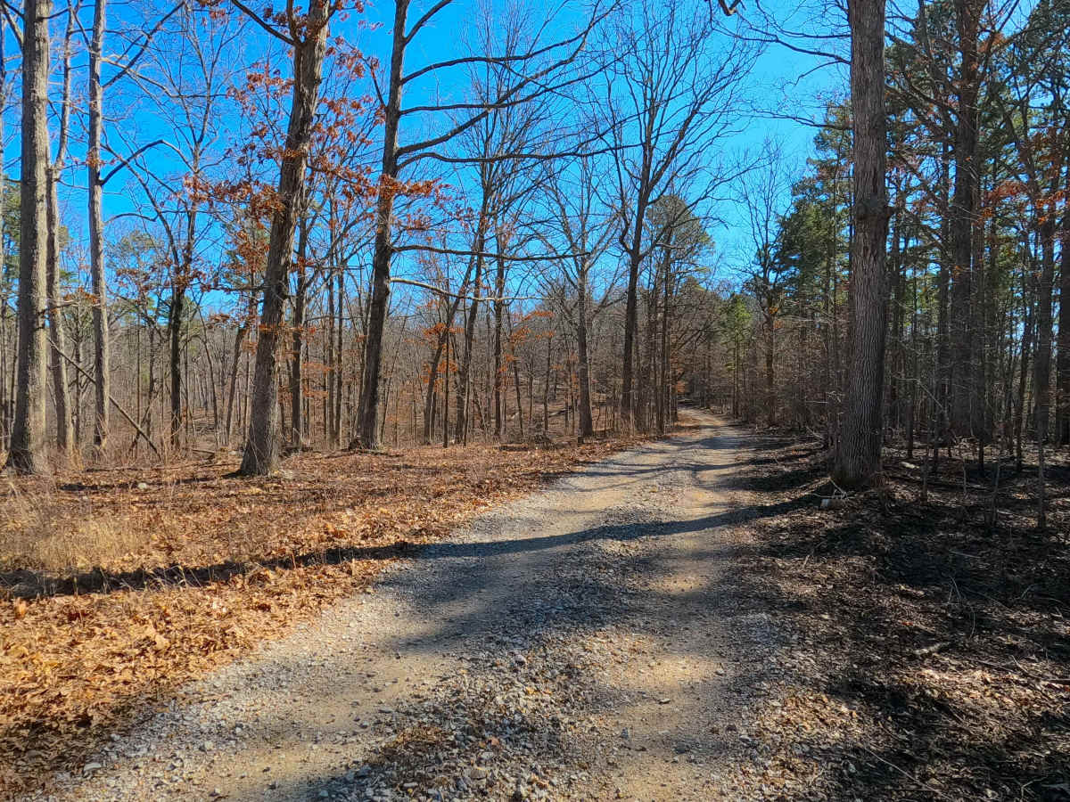 Shirley Ridge - FS 2628 photo 5