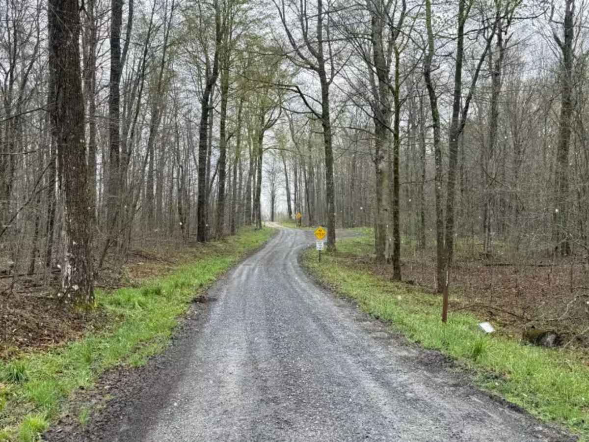 Rock Run - FS 117 trail photo