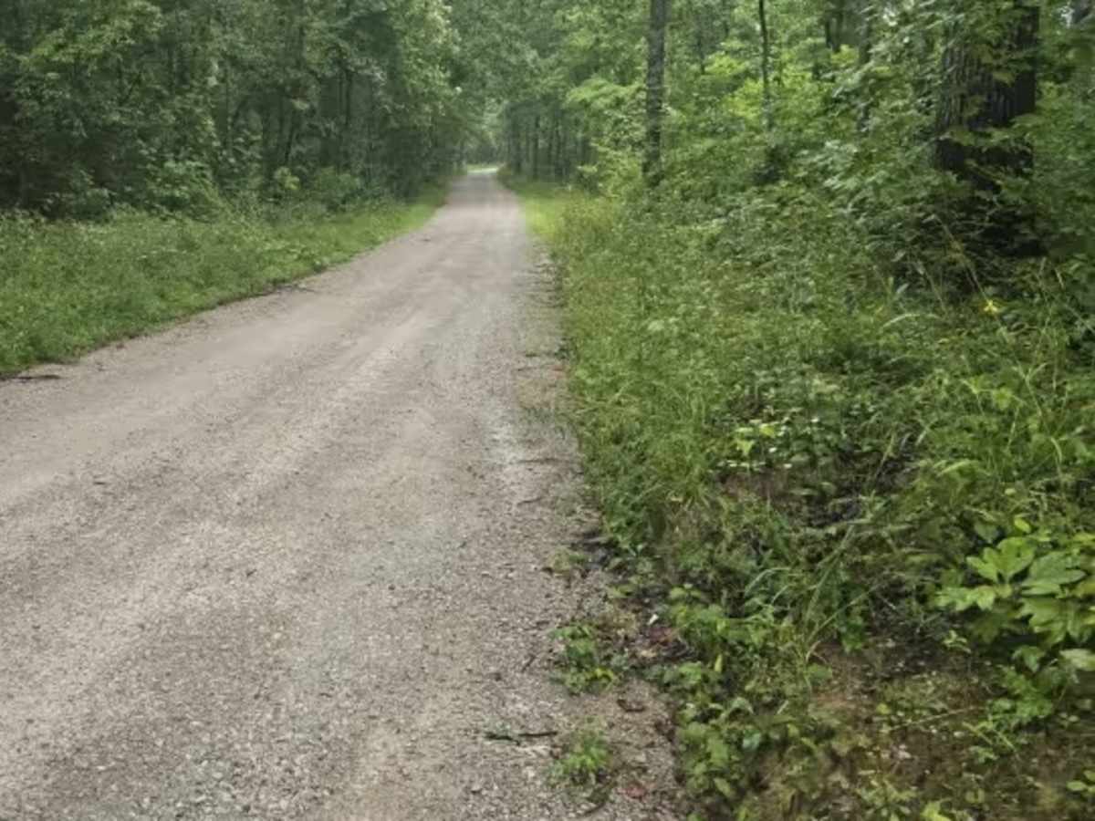 Divide Road photo 5