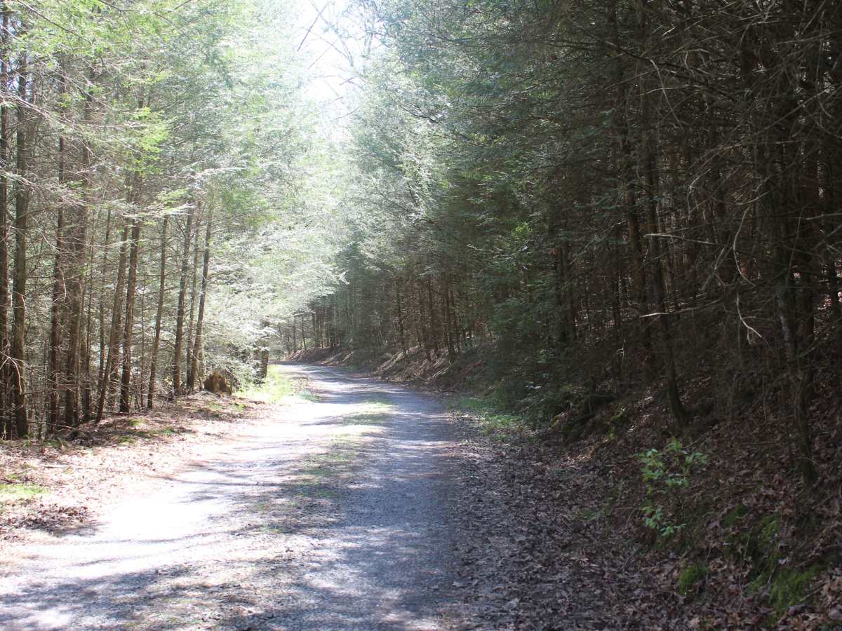 Stillhouse Hollow Trail photo 2