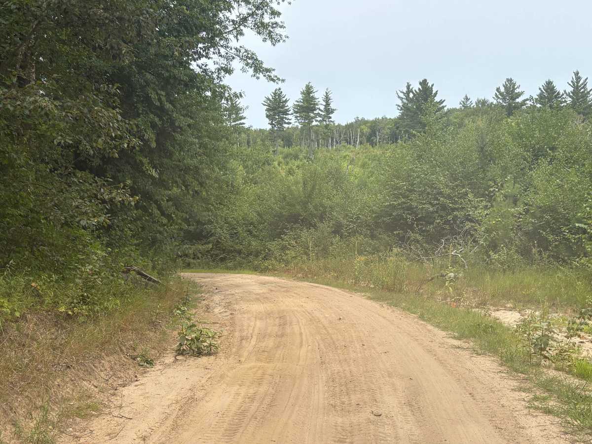Navillus Forest Road photo 5
