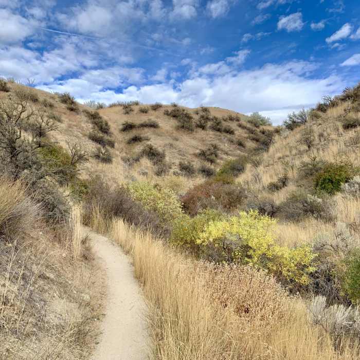 Near Lower Hull's Gulch - Red Cliffs Hike