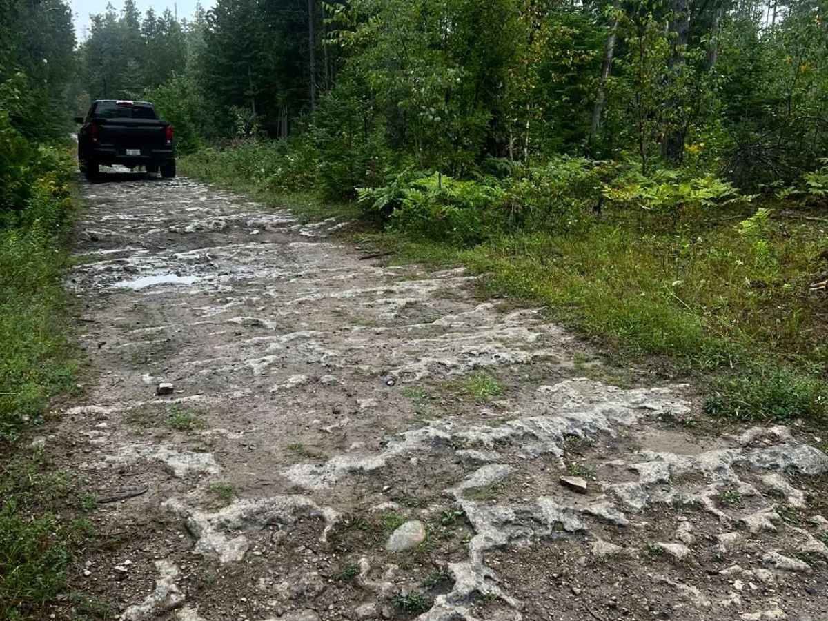 Dave Lauer Memorial Trail photo 2