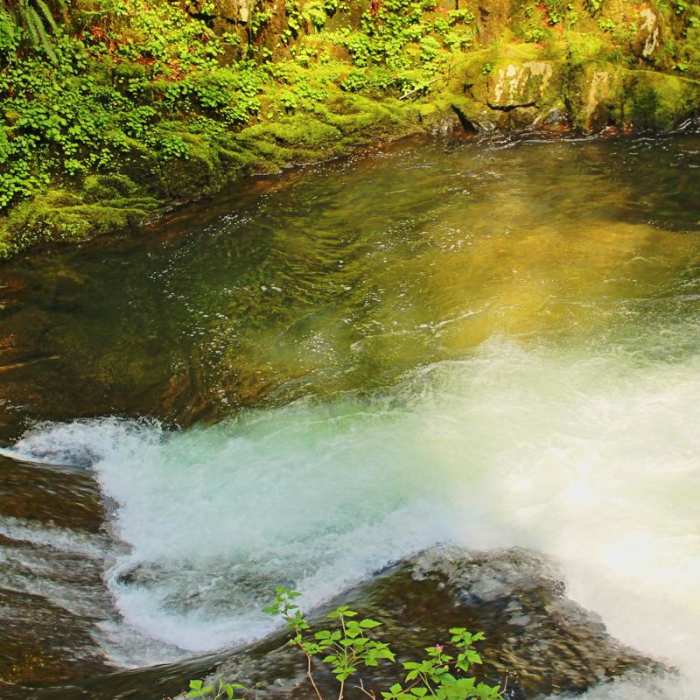 Near Sweet Creek Hike