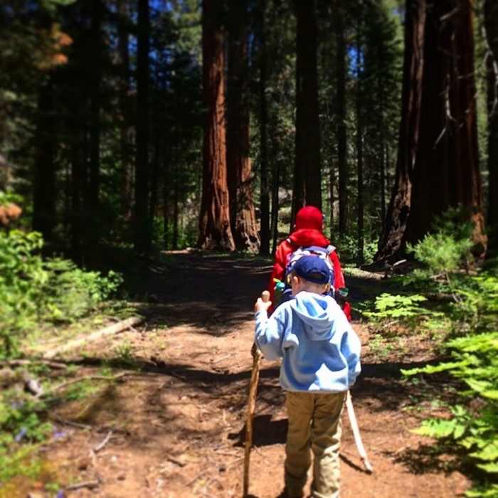 Near General Grant Tree Trail