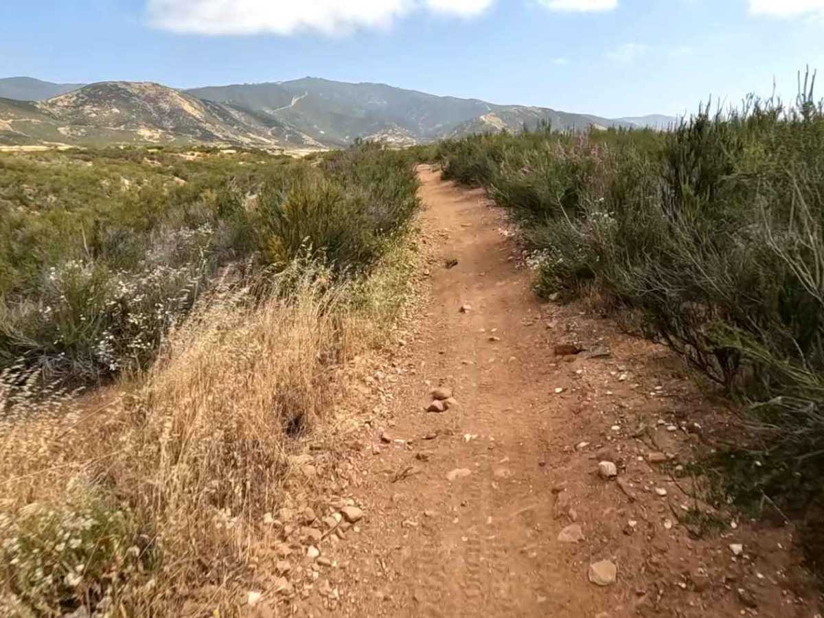 Buffer OHV Trail photo 4